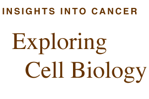 Insights into Cancer: Exploring Cell Biology