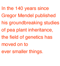 In the 140 years since Gregor Mendel published his groundbreaking studies of pea plant inheritance, the field of genetics has moved on to ever smaller things.