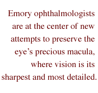 Emory ophthalmologists are at the center of new attempts to preserve the eye's precious macula, where vision is its sharpest and most detailed.