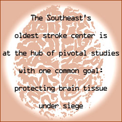 The Southeast's oldest stroke center is at the hub of pivotal studies with one common goal: protecting brain tissue under siege