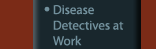 Disease Detectives at Work