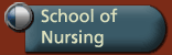 School of Nursing 