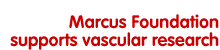 Marcus Foundation supports vascular research