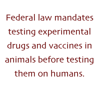 Federal law mandates testing experimental drugs and vaccines in animals before testing them on humans.