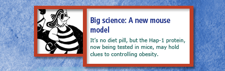 Big science: A new mouse model