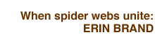 When spider webs unite: ERIN BRAND