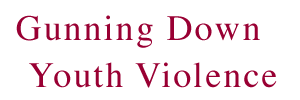 Gunning Down Youth Violence