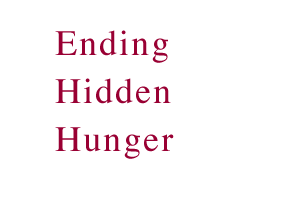 End
ing Hidden Hunger
