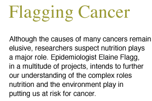 Although the causes of many cancers remain elusive, researchers suspect nutrition plays a major role. Epidemiologist Elaine Flagg, in a multitude of projects, intends to further our understanding of

 the complex roles nutrition and the environment play in putting us at risk for cancer.