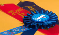 Blue #1 Ribbon
