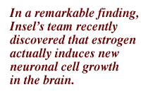 In a remarkable finding, Insel's team recently discovered that estrogen actually induces new neuronal cell growth in the brain.
